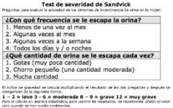 2025 10 01 Cómo medimos la incontinencia urinaria (2)
